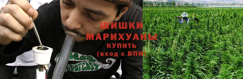 Конопля LSD WEED  Новочебоксарск 